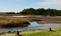 Dickerson Bay
