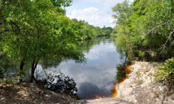 Suwanee River