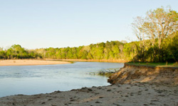 Horseshoe Plantation
