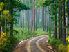 Longpine Plantation