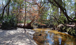 Rocky Comfort Plantation