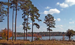 Singer Lake Plantation