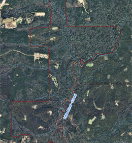 River Oak Map